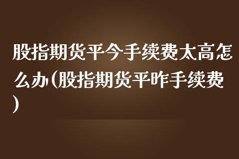 股指期货平今手续费太高怎么办(股指期货平昨手续费)