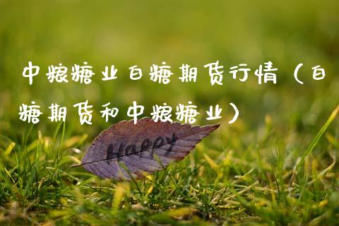 糖业白糖期货行情（白糖期货和糖业）