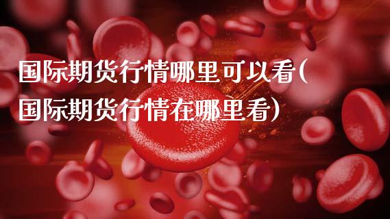 国际期货行情哪里可以看(国际期货行情在哪里看)