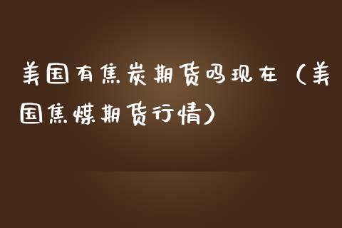 美国有焦炭期货吗现在（美国焦煤期货行情）