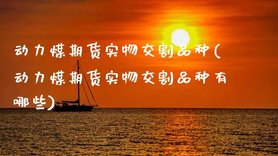 动力煤期货实物交割品种(动力煤期货实物交割品种有哪些)