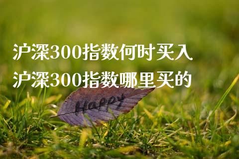 沪深300指数何时买入 沪深300指数哪里买的
