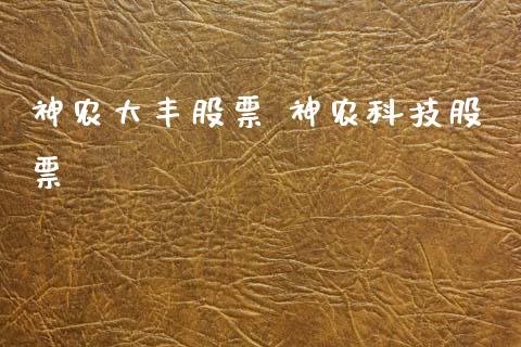 神农大丰股票 神农科技股票
