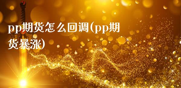 pp期货怎么回调(pp期货暴涨)