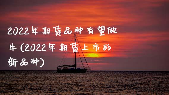 2022年期货品种有望做牛(2022年期货上市的新品种)