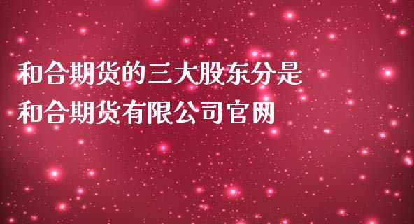 和合期货的三大股东分是 和合期货有限公司