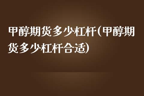 甲醇期货多少杠杆(甲醇期货多少杠杆合适)