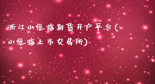 浙江小恒指期货开户平台(小恒指上市交易所)