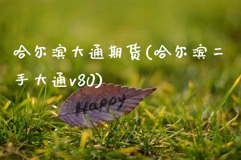 哈尔滨大通期货(哈尔滨二手大通v80)