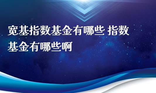宽基指数基金有哪些 指数基金有哪些啊_基金理财_第1张_宇龙理财网 宽基指数基金有哪些 指数基金有哪些啊_https://www.dglong8.com_基金理财_第1张