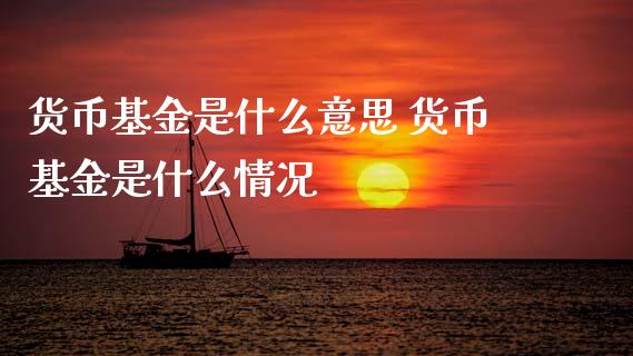 货币基金是什么意思 货币基金是什么情况_https://www.dglong8.com_基金理财_第1张