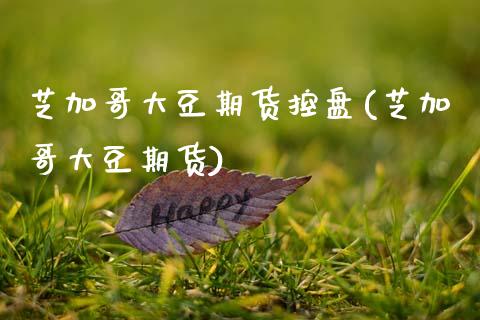 芝加哥大豆期货控盘(芝加哥大豆期货)