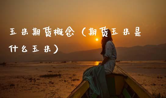 玉米期货概念（期货玉米是什么玉米）