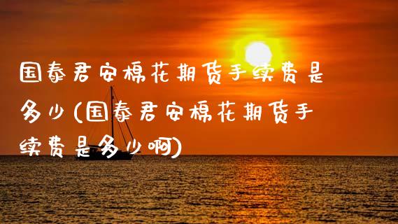 棉花期货手续费是多少(棉花期货手续费是多少啊)