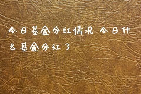今日基金分红情况 今日什么基金分红了