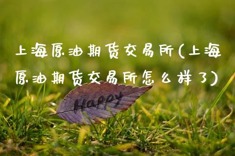 上海原油期货交易所(上海原油期货交易所怎么样了)