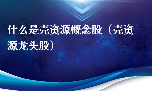 什么是壳资源概念股（壳资源龙头股）
