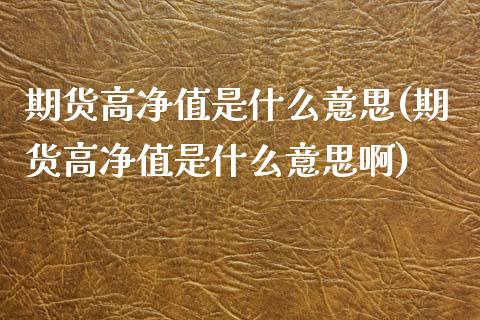 期货高净值是什么意思(期货高净值是什么意思啊)