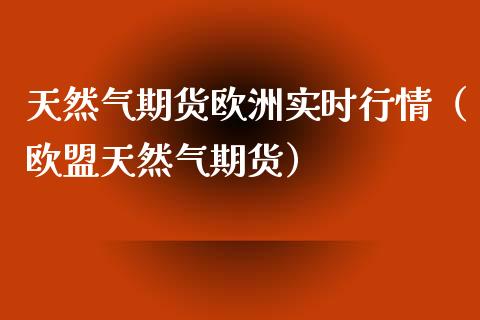 天然气期货欧洲实时行情（欧盟天然气期货）