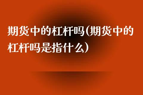 期货中的杠杆吗(期货中的杠杆吗是指什么)