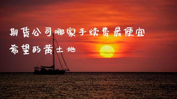 期货公司哪家手续费最便宜希望的黄土地