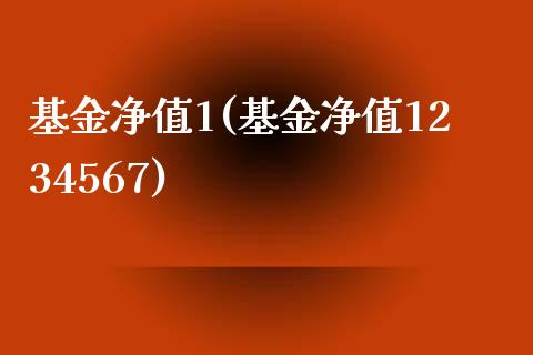 基金净值1(基金净值1234567)