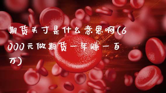期货头寸是什么意思啊(6000元做期货一年赚一百万)