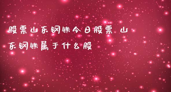 股票山东钢铁今日股票 山东钢铁属于什么股