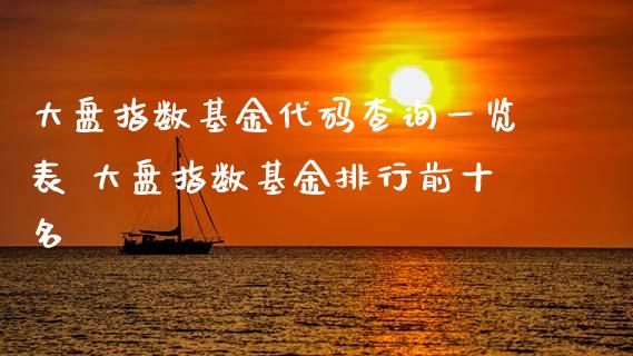 大盘指数基金代码查询一览表 大盘指数基金排行前十名