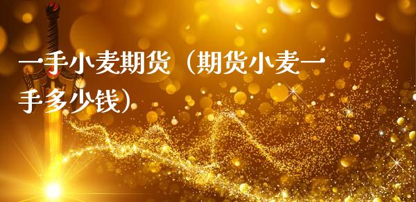一手小麦期货（期货小麦一手多少钱）