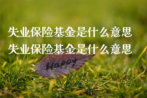 失业保险基金是什么意思 失业保险基金是什么意思