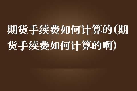期货手续费如何计算的(期货手续费如何计算的啊)