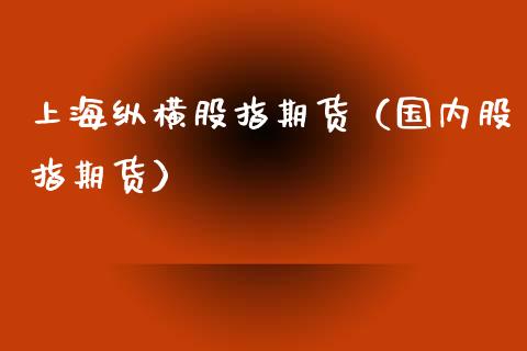 上海纵横股指期货（国内股指期货）