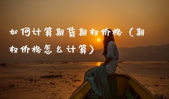 如何计算期货期权价格（期权价格怎么计算）