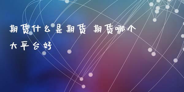 期货什么是期货 期货哪个大平台好