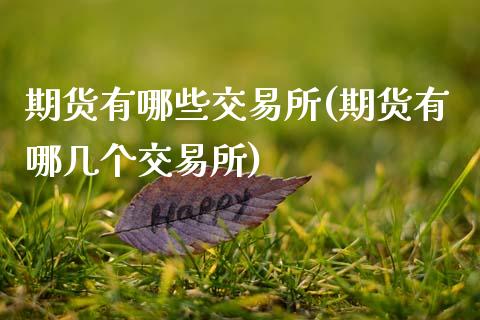 期货有哪些交易所(期货有哪几个交易所)
