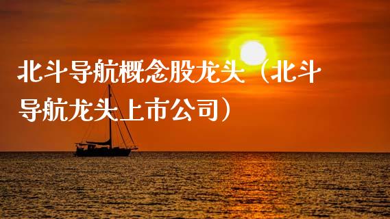 北斗导航概念股龙头（北斗导航龙头上市公司）