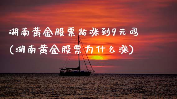 湖南黄金股票能涨到9元吗(湖南黄金股票为什么涨)