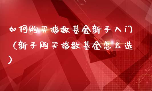 如何购买指数基金新手入门（新手购买指数基金怎么选）