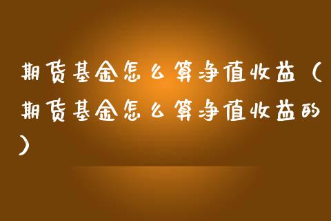 期货基金怎么算净值收益（期货基金怎么算净值收益的）