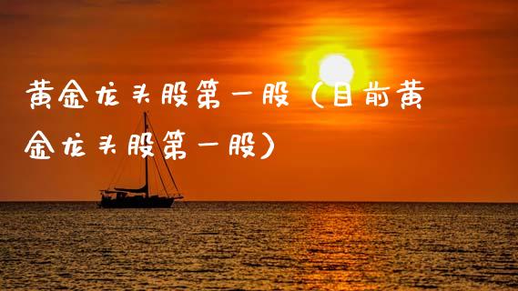 黄金龙头股第一股（目前黄金龙头股第一股）