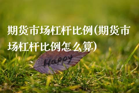 期货市场杠杆比例(期货市场杠杆比例怎么算)