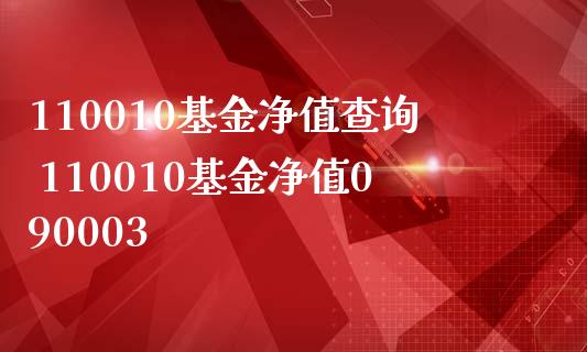 110010基金净值查询 110010基金净值090003