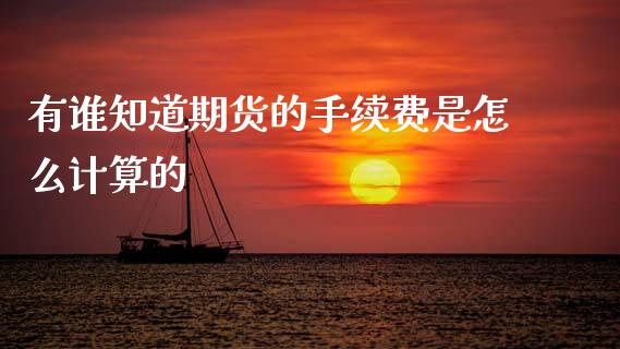 有谁知道期货的手续费是怎么计算的