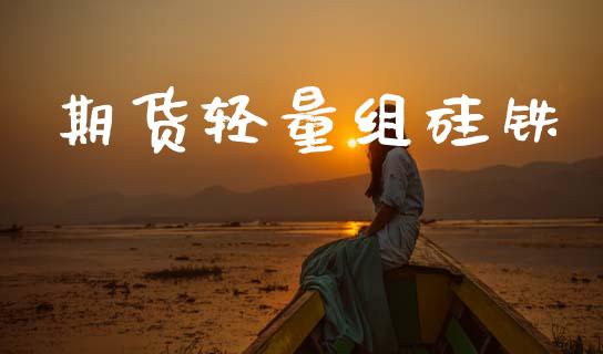 期货轻量组硅铁
