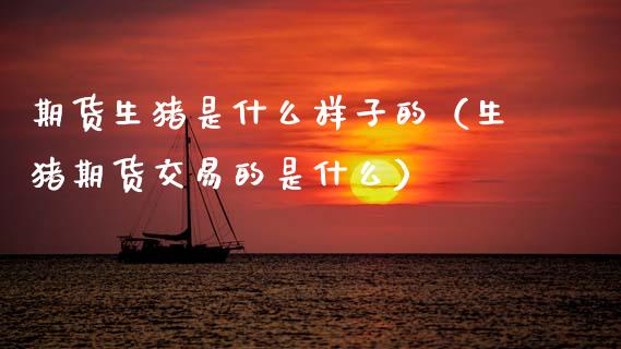 期货生猪是什么样子的（生猪期货交易的是什么）