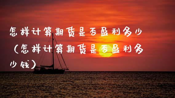 怎样计算期货是否盈利多少（怎样计算期货是否盈利多少钱）