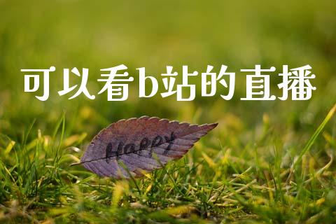 可以看b站的直播
