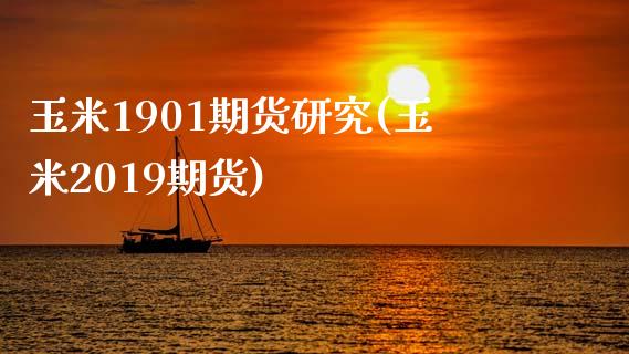 玉米1901期货研究(玉米2019期货)
