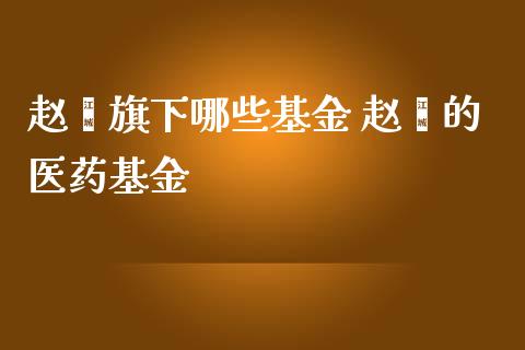赵蓓旗下哪些基金 赵蓓的医药基金
